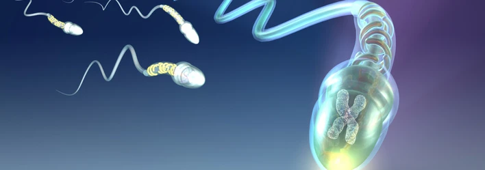 Mulatto ayol ozining juda nozik figurasi bilan ajoyib jinsiy aloqaga ega onlayn HD Geylar kichik siklarni sorishadi